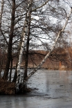 20110213 145339.jpg